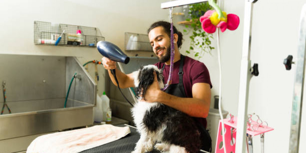 The Ultimate Guide to Doodle Grooming From Sheepadoodle to the Perfect Doodle Cut