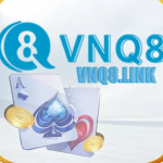 VNQ8 link profile picture