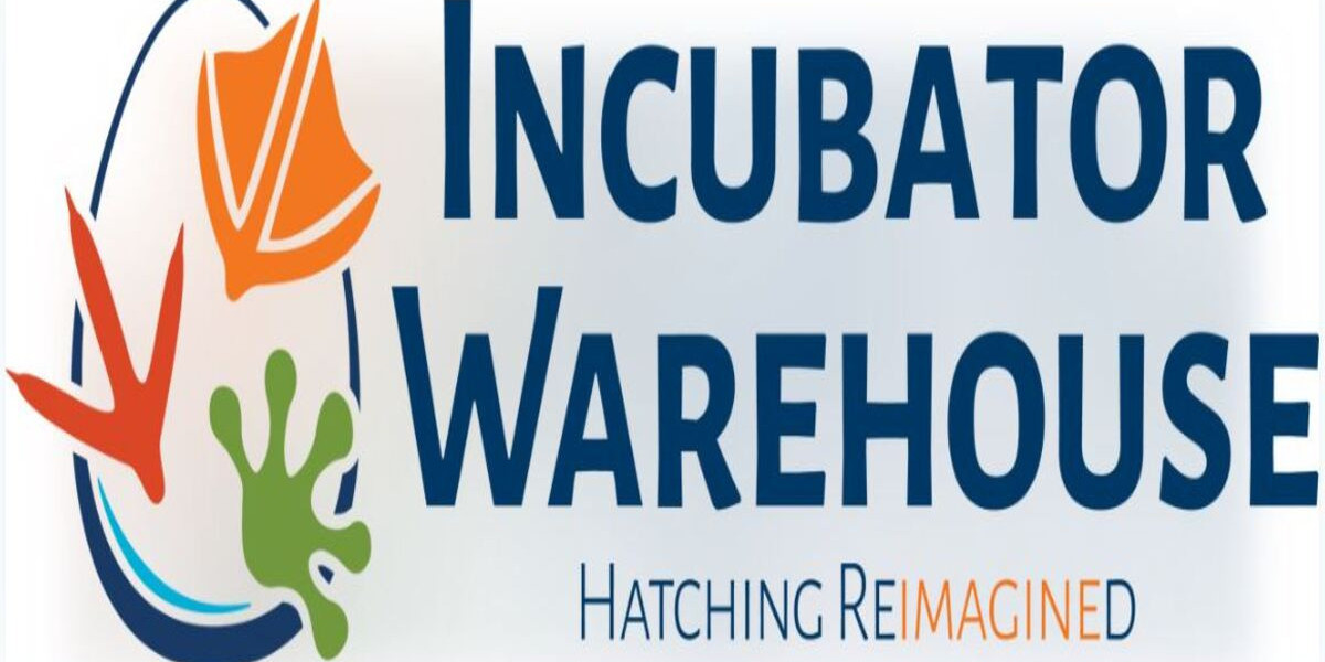 Choosing the Best Egg Incubator for High Hatch Rates