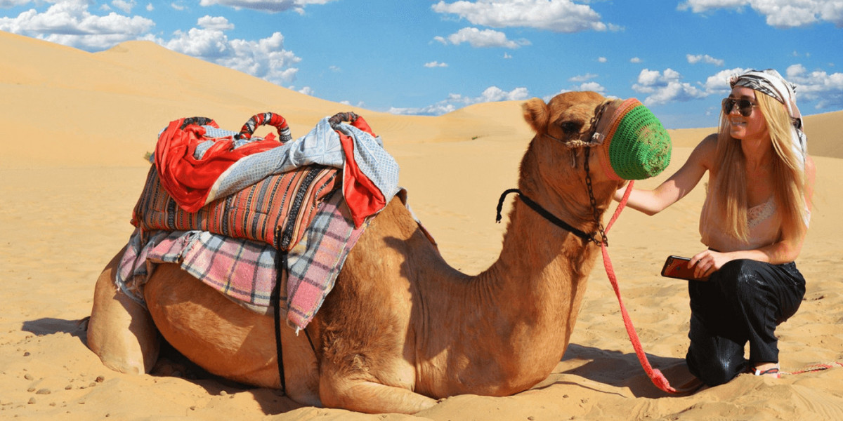 Desert Safari Abu Dhabi: An Unforgettable Adventure in the Dunes