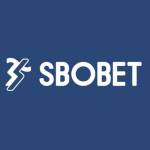 sbobetooo1 Profile Picture