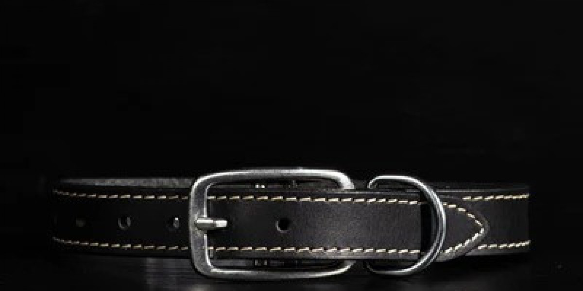 Enhance Your Dog's Style with Premium Dog Collars Leather