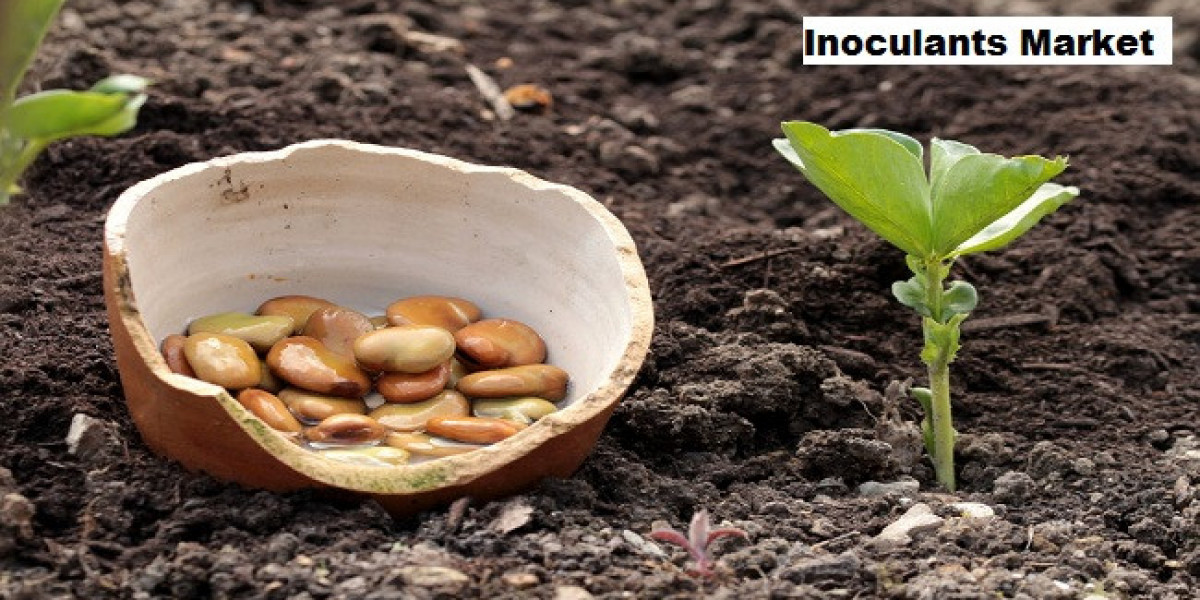 Inoculants Market Insights: Growth Powered by Organic Agriculture Practices