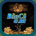 banca47 net Profile Picture