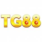 TG88 Works Profile Picture