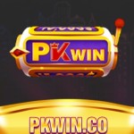 pkwincom bond Profile Picture