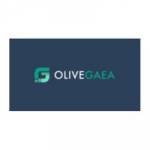 Olive Gaea Profile Picture