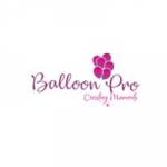 Event Decorators in Bangalore BalloonPro Profile Picture