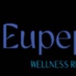 eupepsia Profile Picture