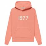 Pink Essentials Hoodie Profile Picture