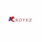 Croyez Immigration Service Pvt Ltd Profile Picture