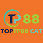 tp88cat Profile Picture