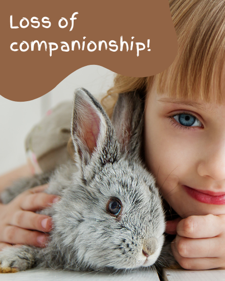 Free Pet Sympathy Cards | Virtual Pet Sympathy eCards