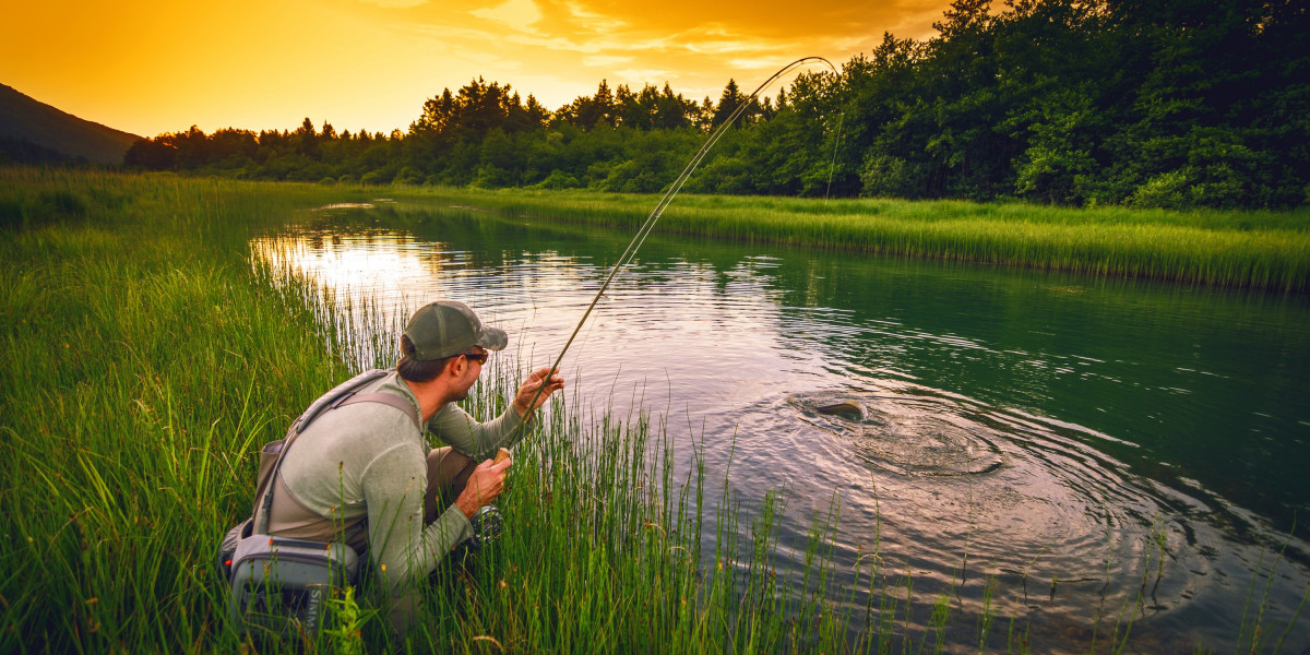 A Detailed Review of the Daiwa Megaforce Rod and KP Standard Farcast Reel: Pros and Cons