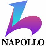 NapolloSoftware Profile Picture