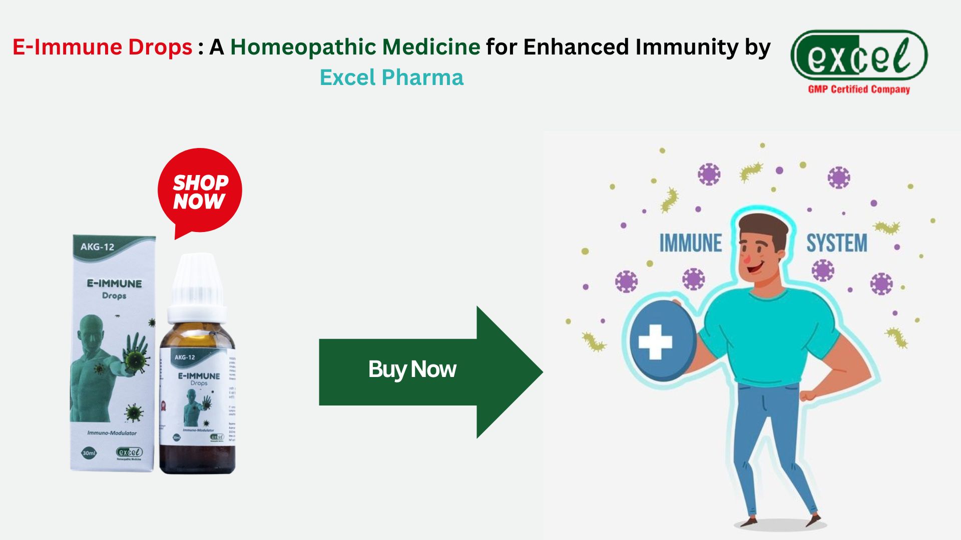 How Can Homeopathy Medicine for Immunity Booster be Helpful? – Excel Pharma