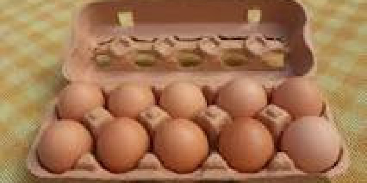 Everything You Need to Know About Egg Cartons