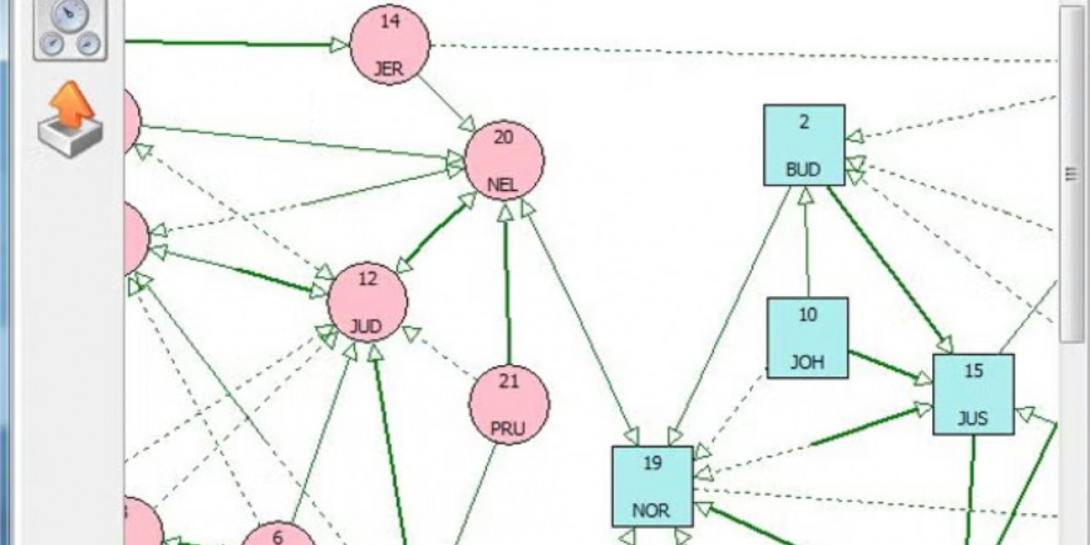 Group Dynamics Software: Transforming Team Collaboration