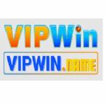 vipwin name Profile Picture