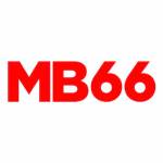 mb66 8live Profile Picture