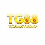 tg88studio Profile Picture