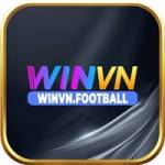 WinVN Footlball Profile Picture