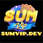 sumvipdev1 Profile Picture