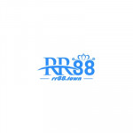 rr88town Profile Picture