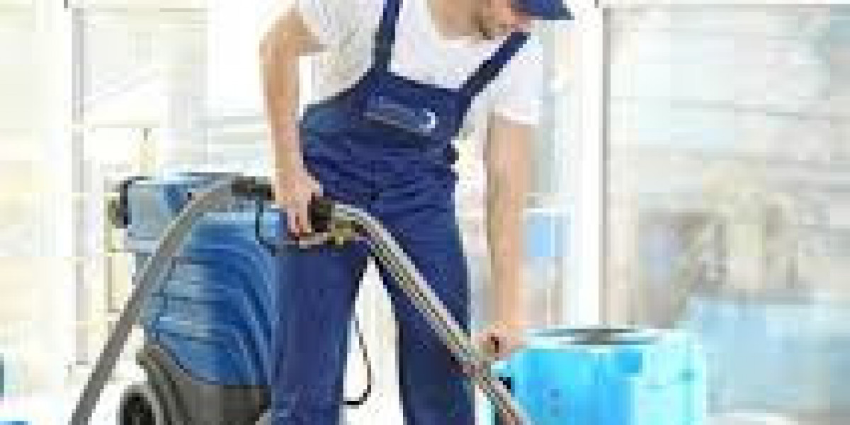 Professional Carpet Cleaning: Key to Maintaining Home Carpets