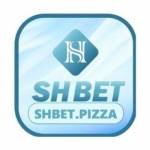 shbetpizza Profile Picture