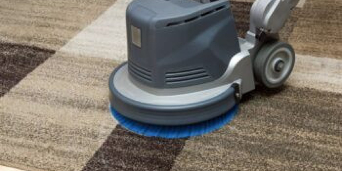 Why Every Home Should Embrace Regular Professional Carpet Cleaning