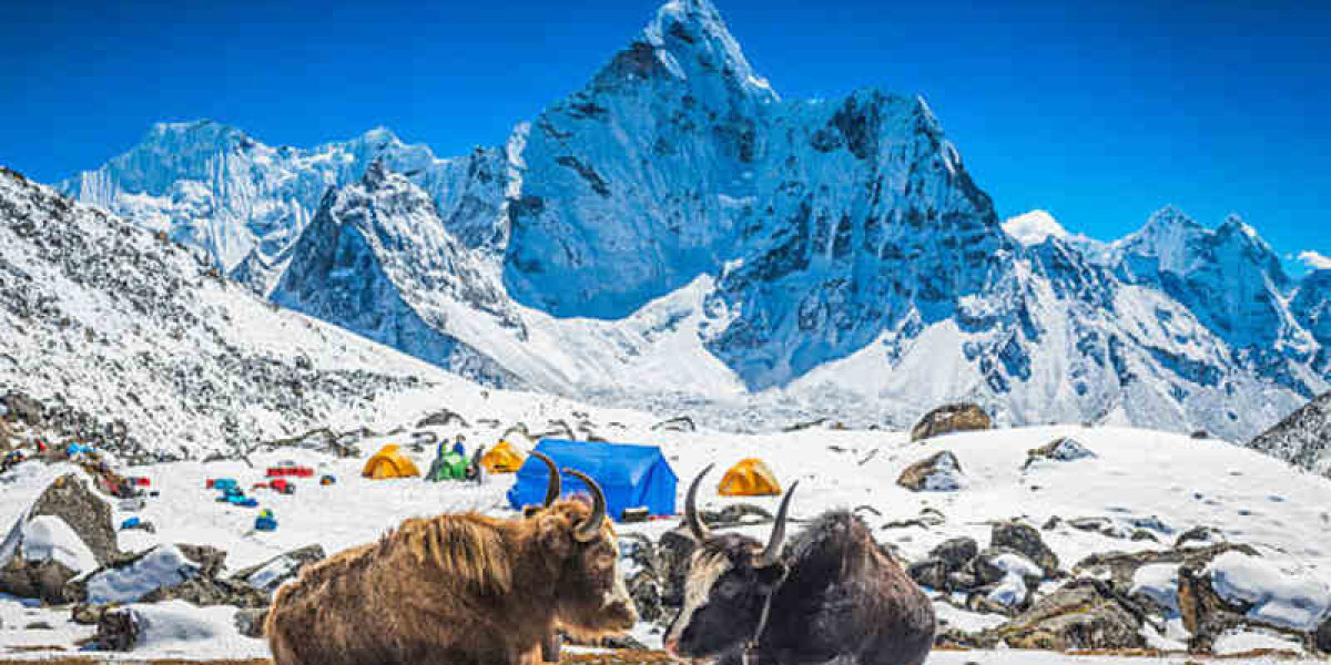 Top 5 Must-Visit Places in Nepal for an Unforgettable Adventure