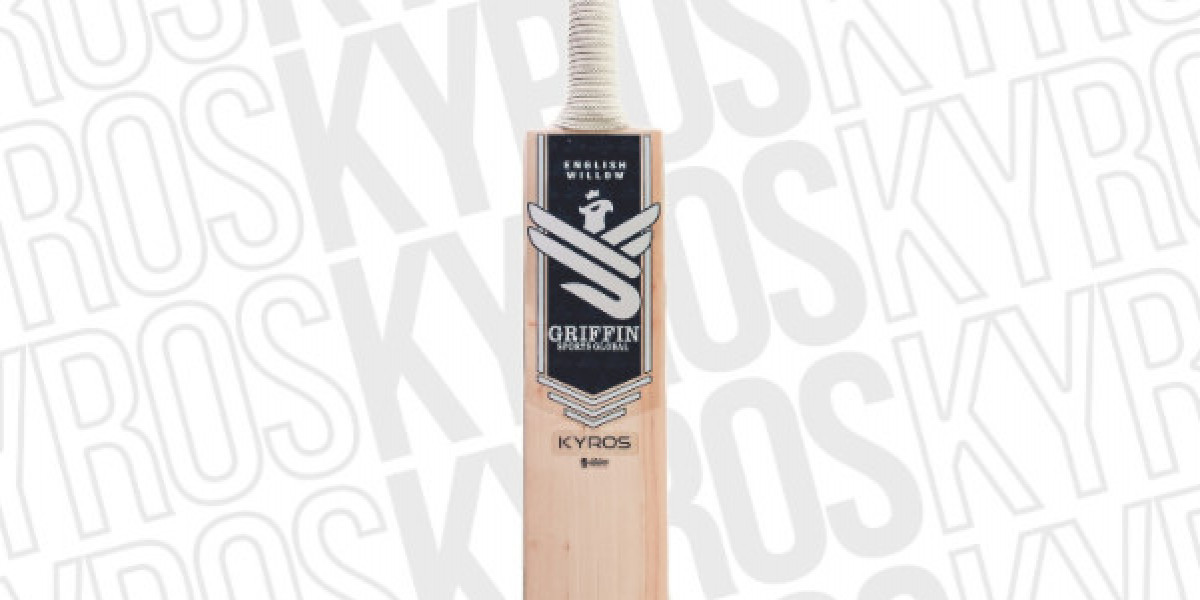 Choosing the Best Website to Buy Cricket Bat Online in the UK