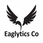 Eaglytics Co Profile Picture