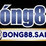 BONG88 Link Vào đăng Nhập Bong88 Profile Picture