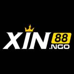 xin88ngo Profile Picture