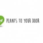 Plant to your door Profile Picture