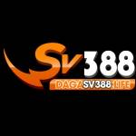 SV388 Đầu Profile Picture