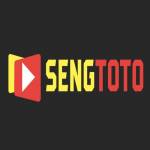 SengToto Portal Game Profile Picture