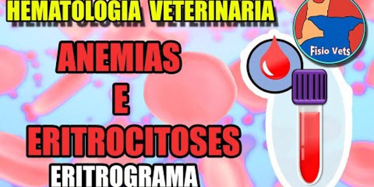 Revolução nos Exames Hormonais: Como o Gold Lab Vet Transformou a Saúde Animal