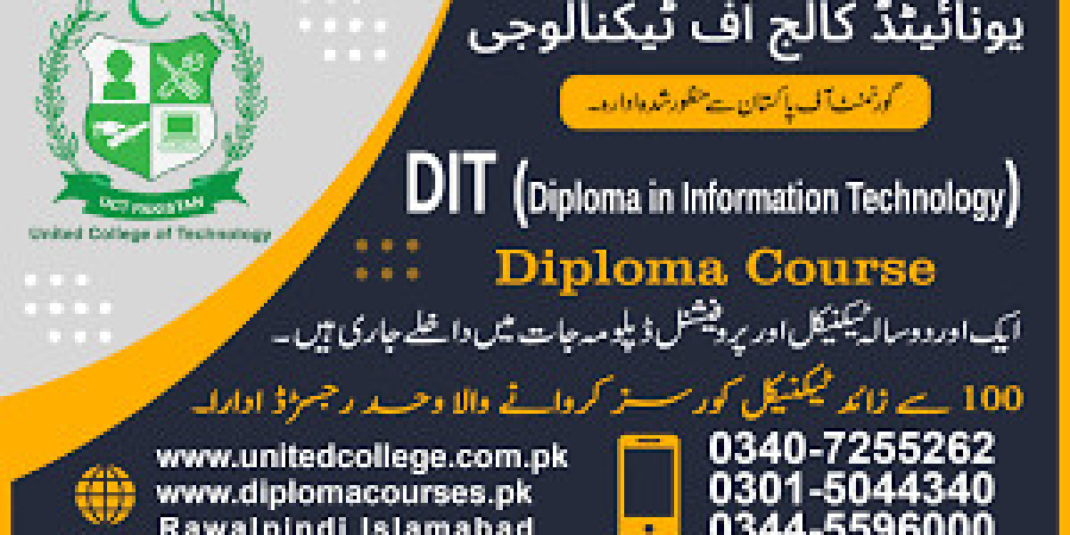 Why Pursue a Diploma in Information Technology? Benefits, Career Paths, and Opportunities