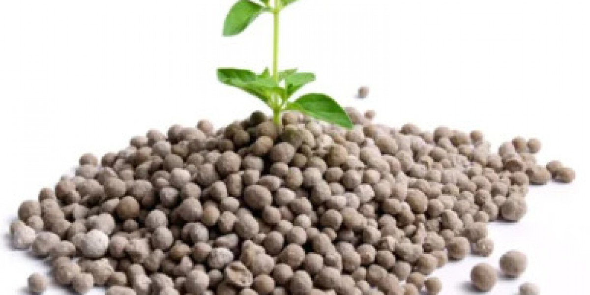 Phosphate Fertilizers Market Exploring Size, A Comprehensive Forecast for 2031