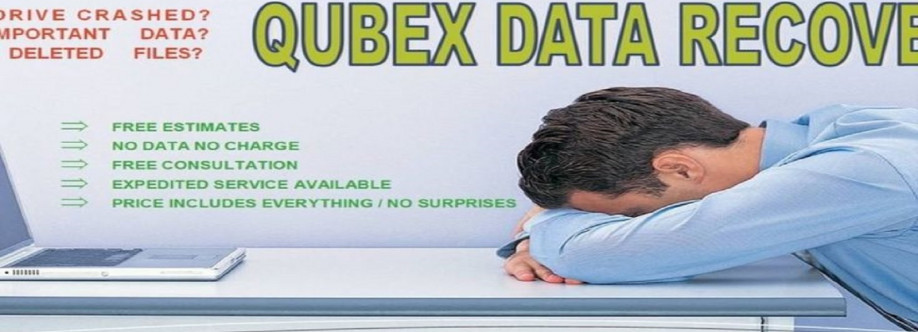 Qubex Data Recovery Cover Image