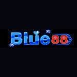 blue88us Profile Picture