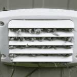 Cedar Rapids Dryer Vent Cleaning Services Profile Picture