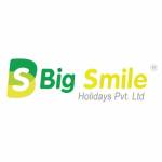 Big Smile Holidays profile picture