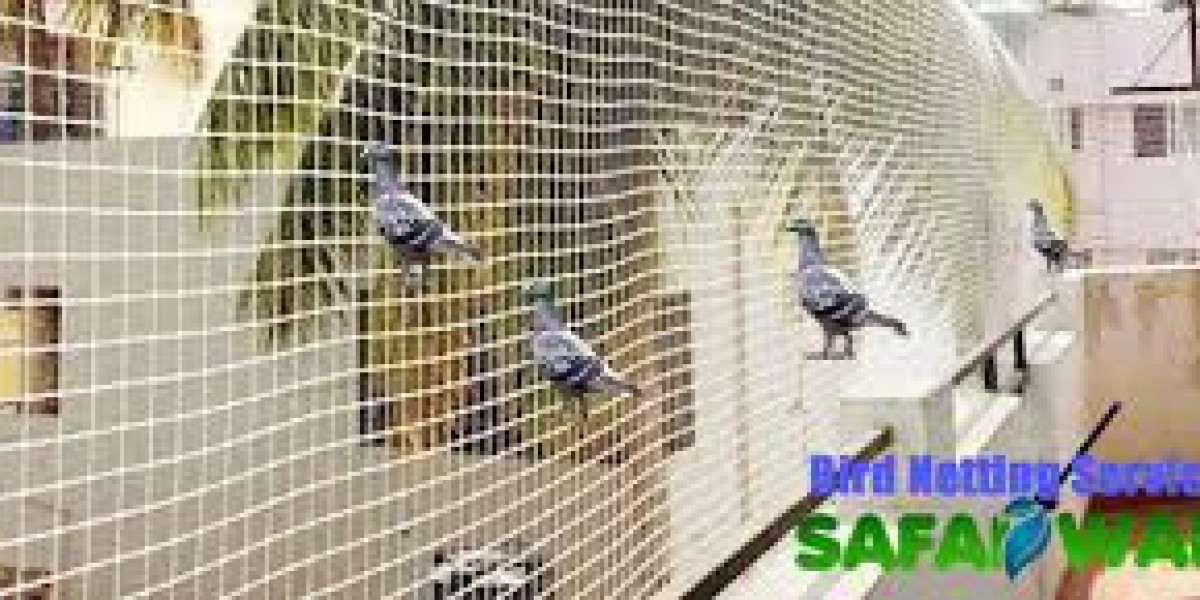 Safeguard Your Property with the Best Bird Netting Services in Kolkata