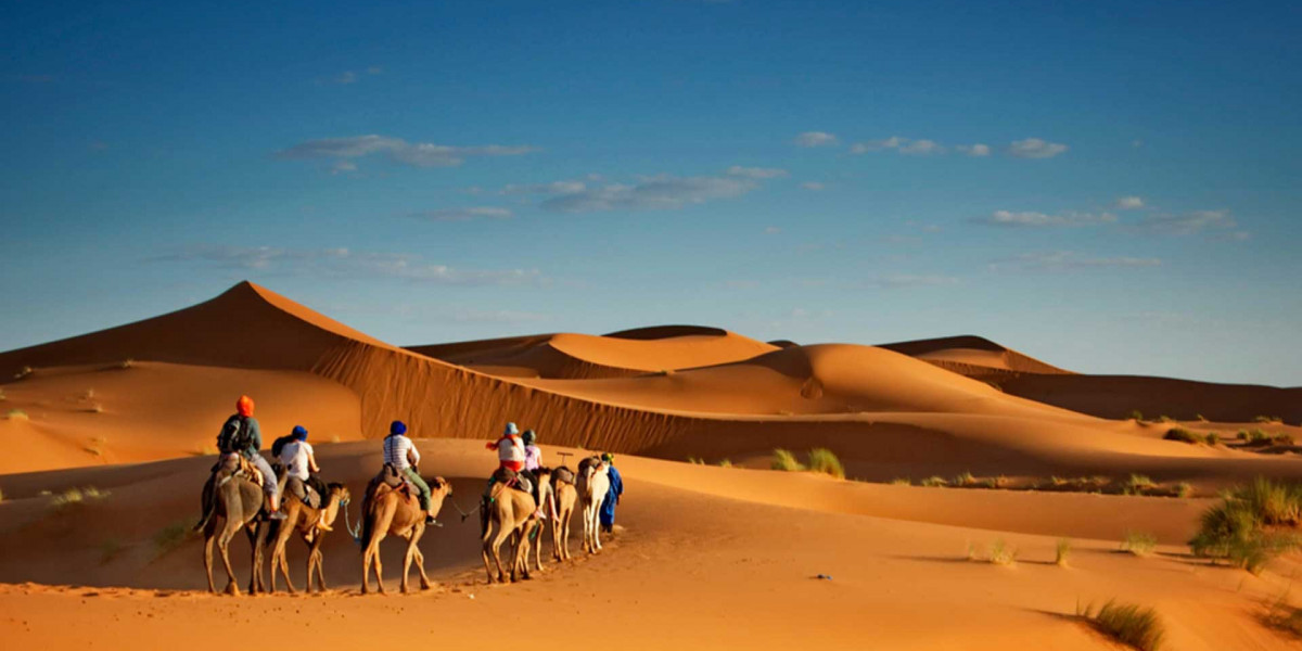 Top 5 Reasons to Hire a Tour Operator in Oman for Your Next Adventure