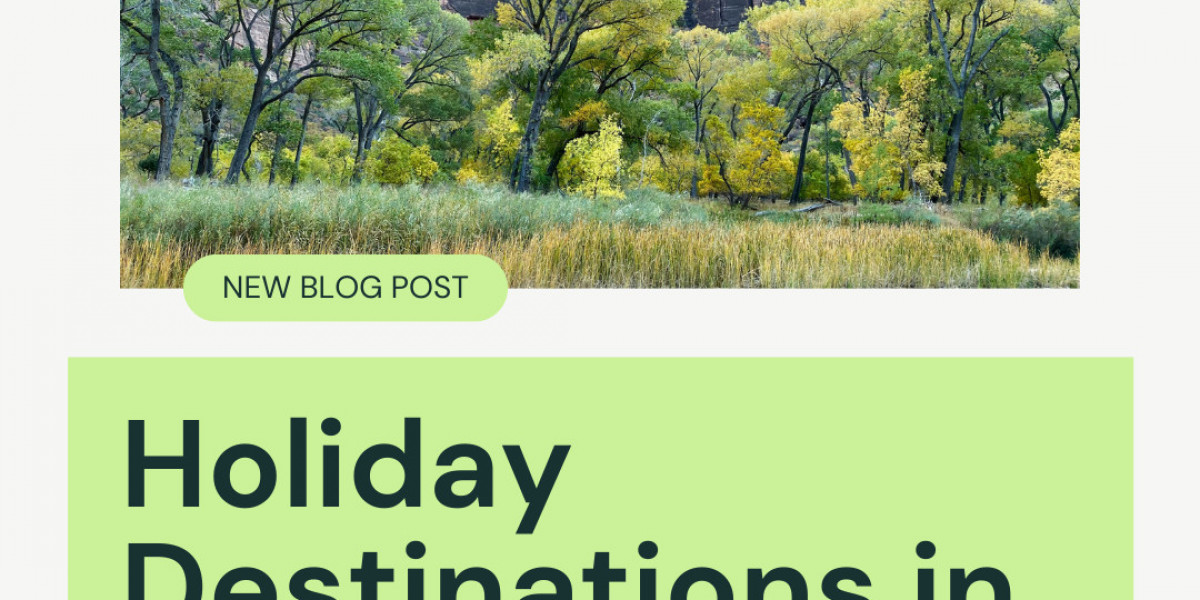 Holiday Destinations in February 2025