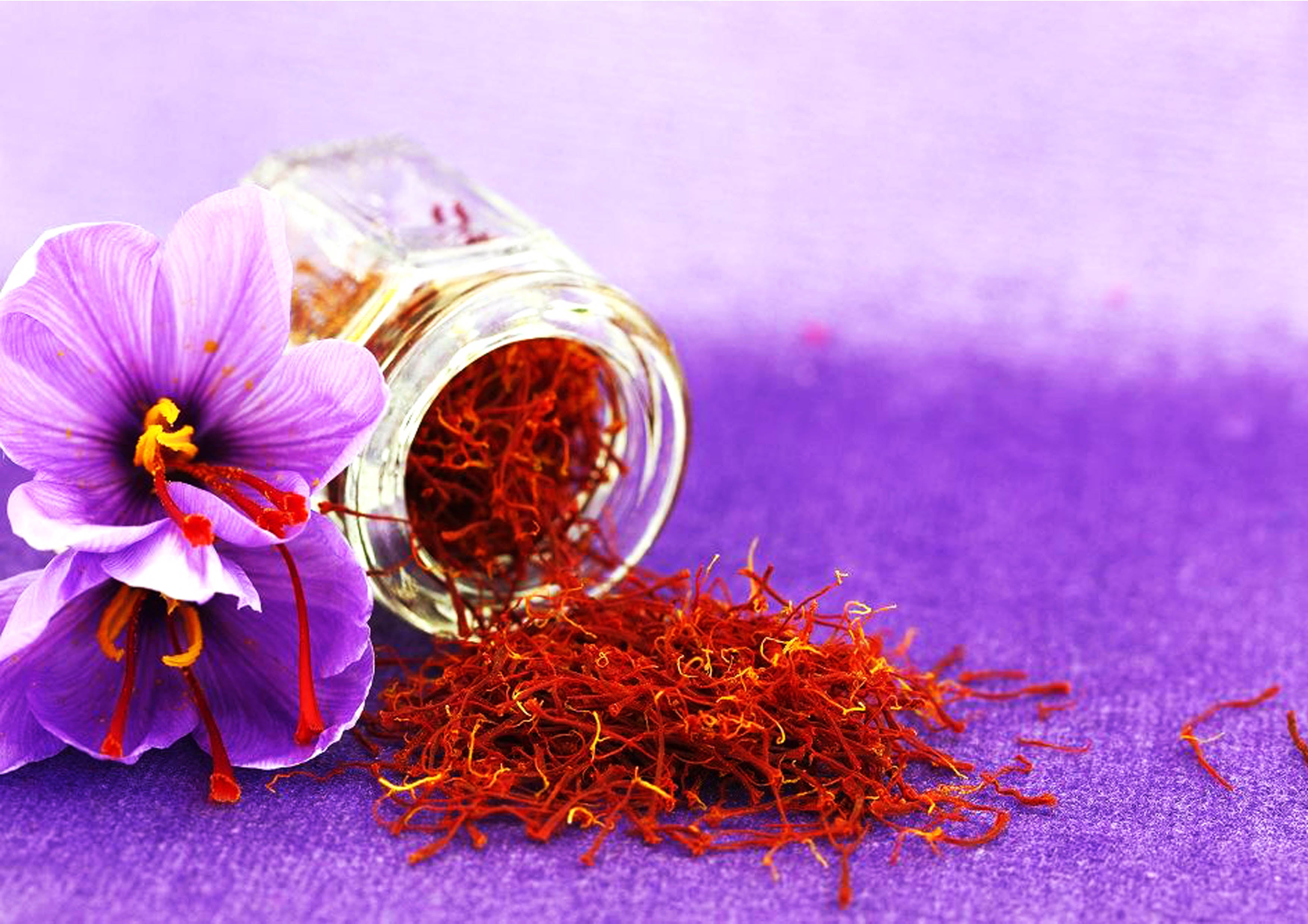 SAFFRON - No Less than a Treasure Trove  – Bipha Ayurveda